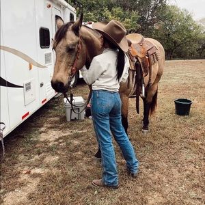 Cinch jeans. New with tags. Green label